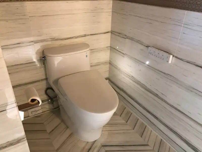 Finished Toilet Installation by Level Up Plumbing